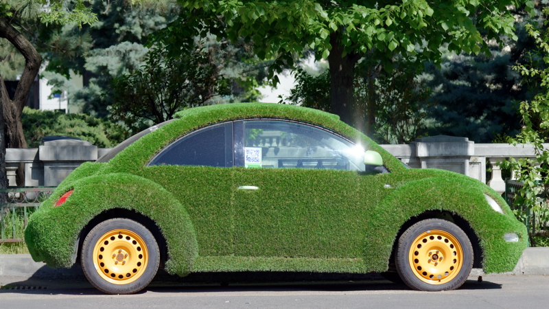 Car decorated